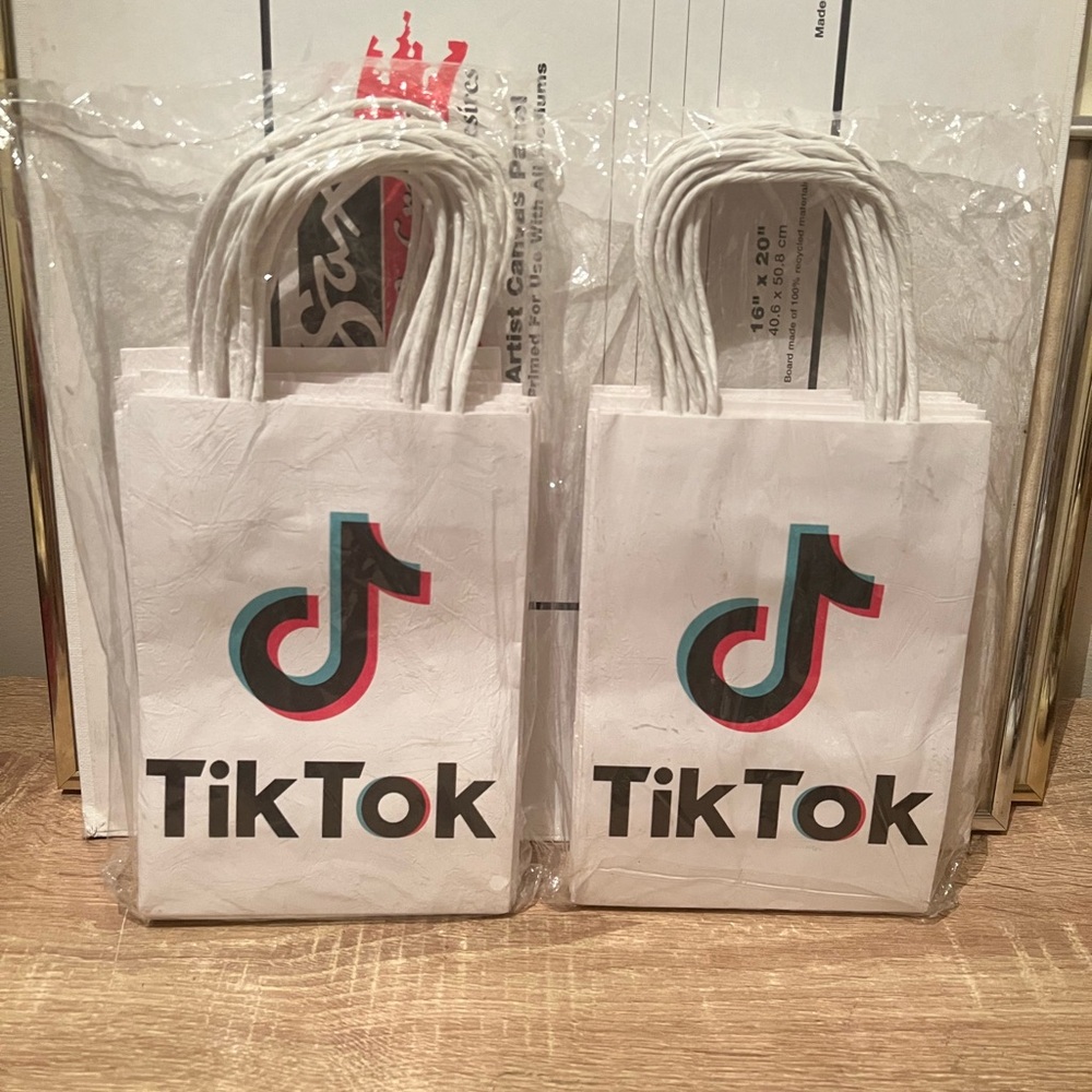 New in Packaging - 2 Sets of 12 TikTok Goodie Gift Bags Lot